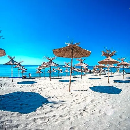 Premier Cuisine - Full Board 4* Sunny Beach